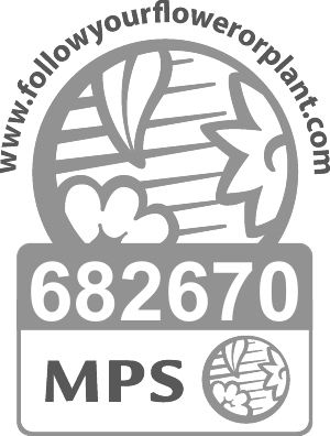MPS 682670